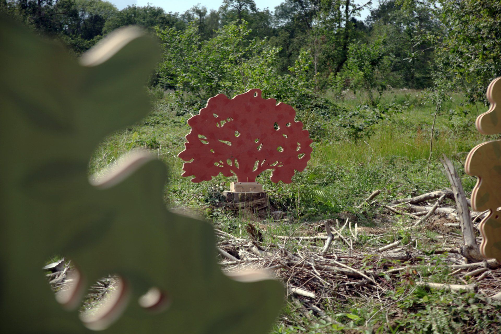 A red tree is sitting in the middle of a field.