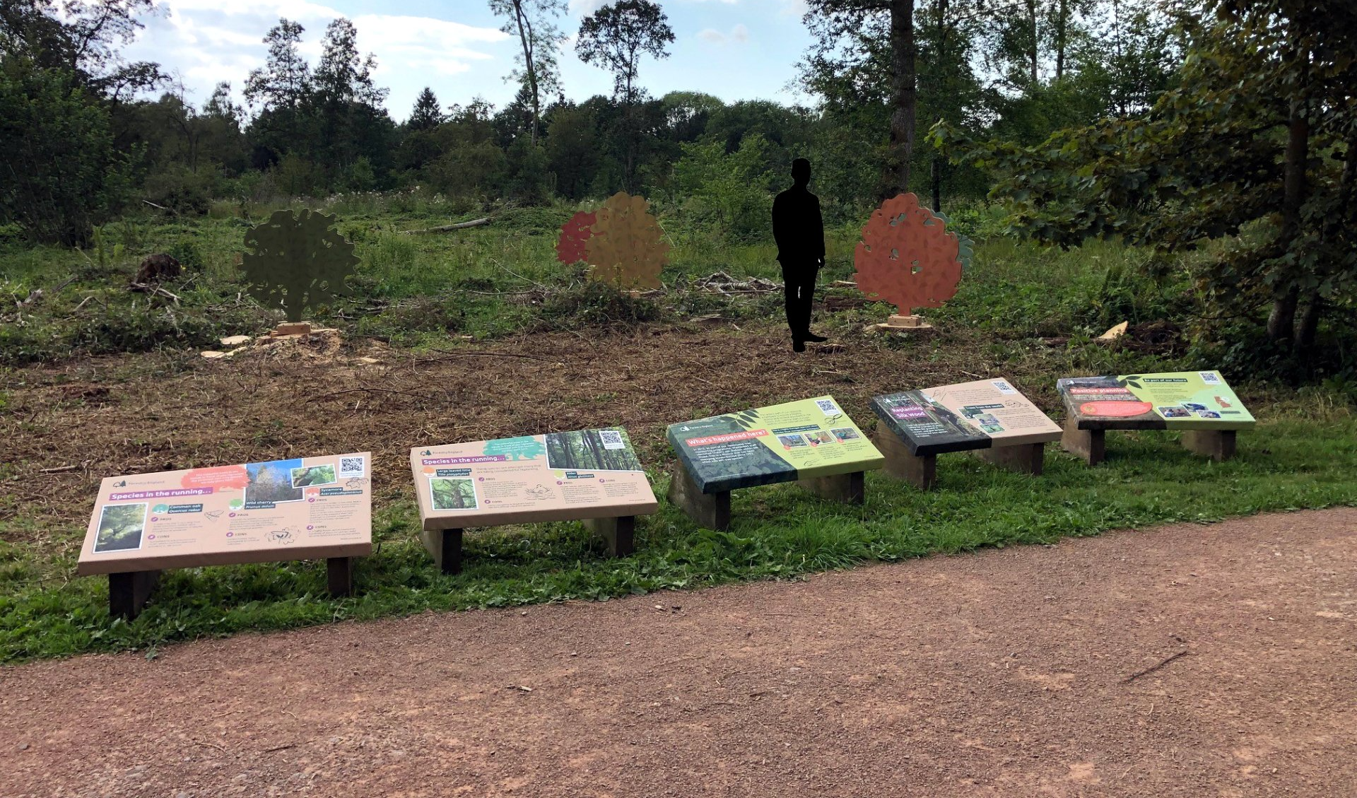 A person is standing in the middle of a field with a row of signs in front of them.