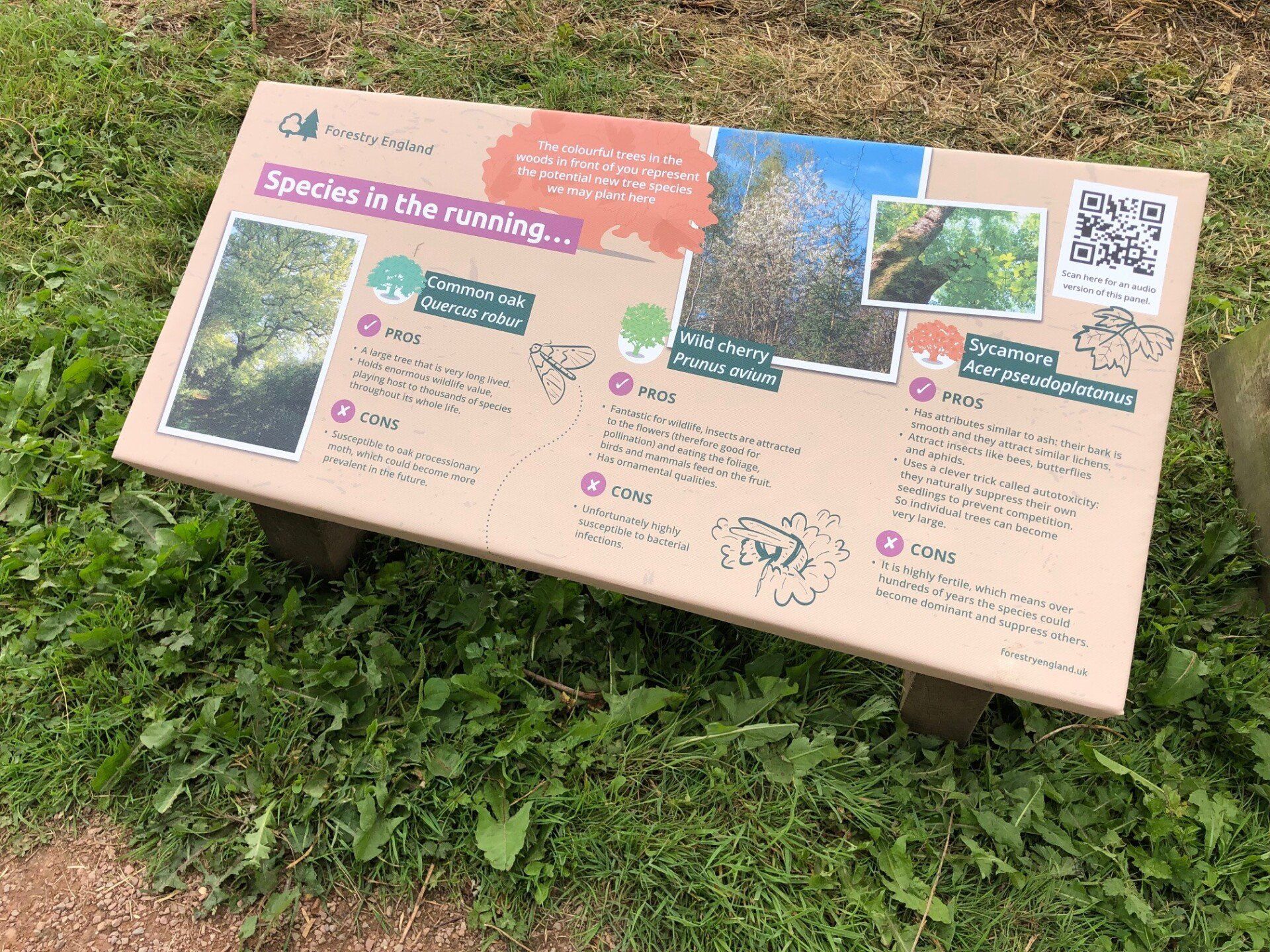 A wooden sign is sitting on top of a grass covered field.