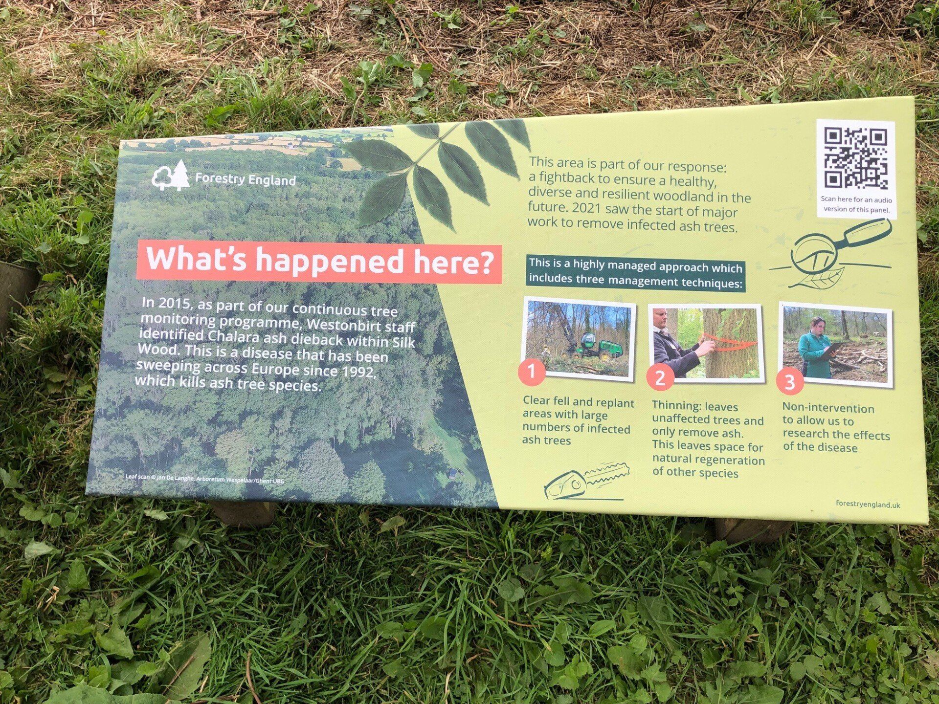 A sign that says `` what 's happened here '' is sitting in the grass.