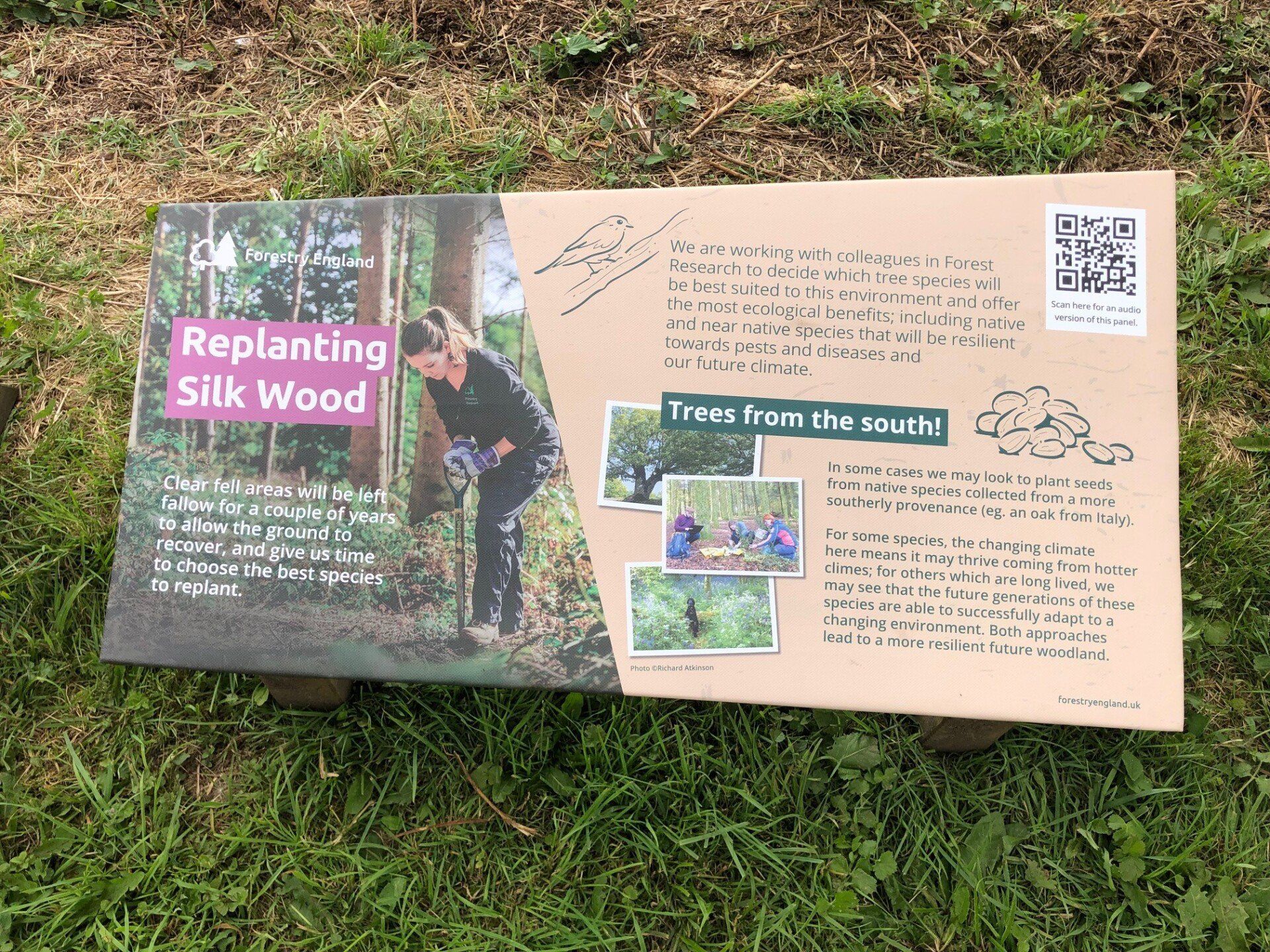 A cardboard box is sitting on top of a lush green field.