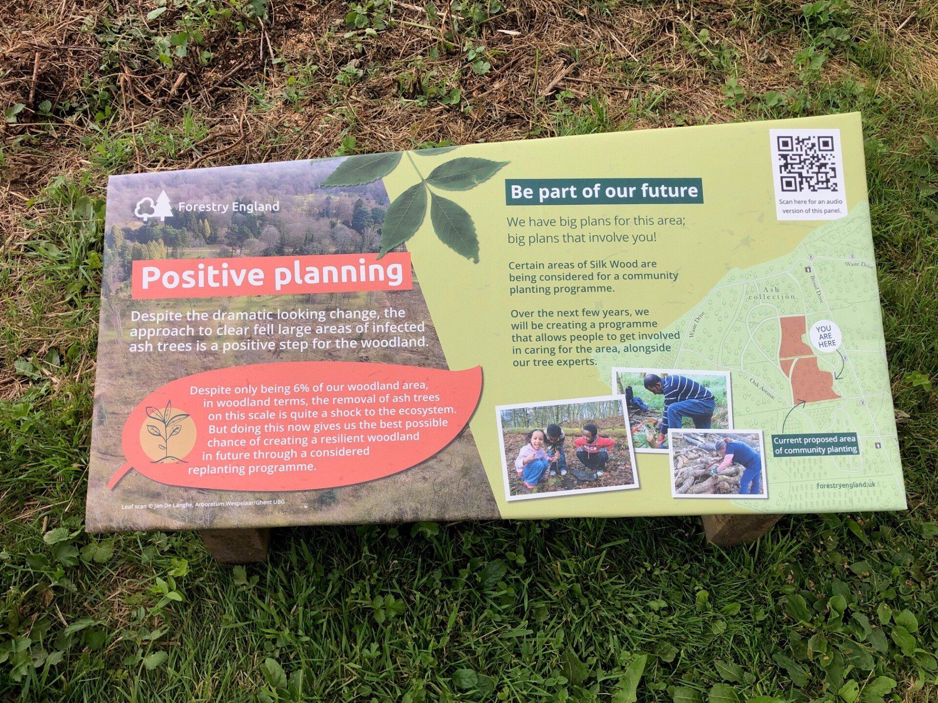 A sign that says `` positive planning '' is sitting in the grass.