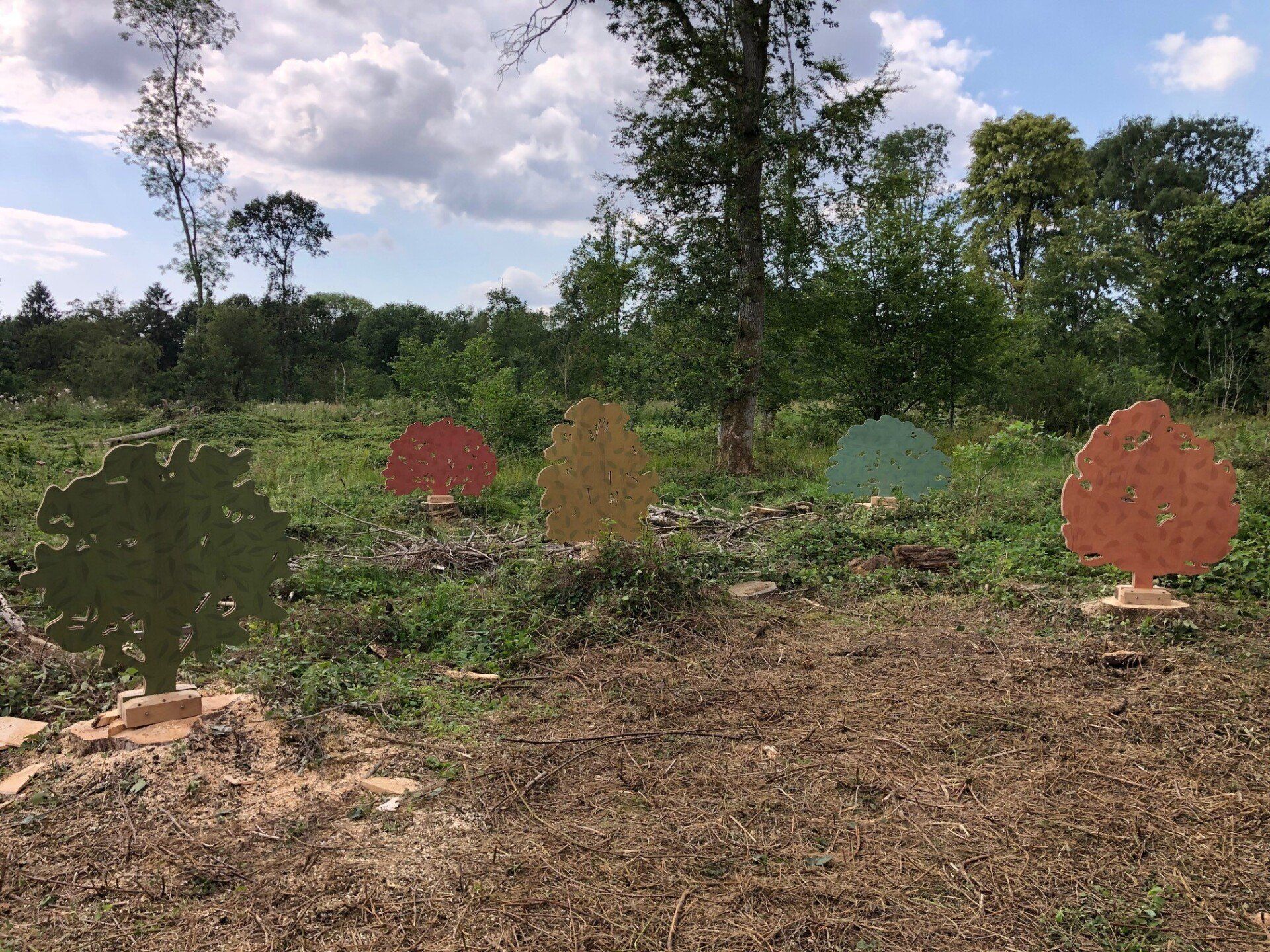 A group of trees are sitting in the middle of a field.