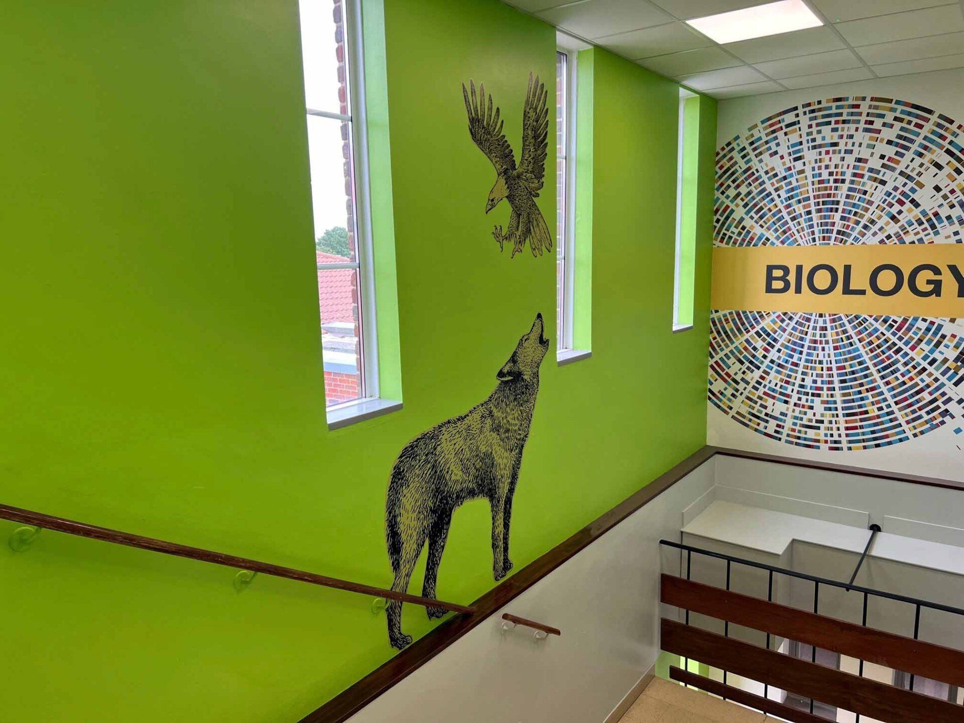 A wolf is howling at an eagle on a green wall.