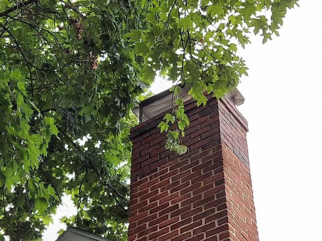 Brick chimney with a wire mesh top, under green tree leaves.