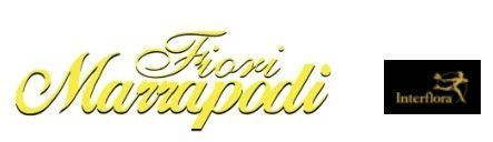 logo Fiori Marrapodi