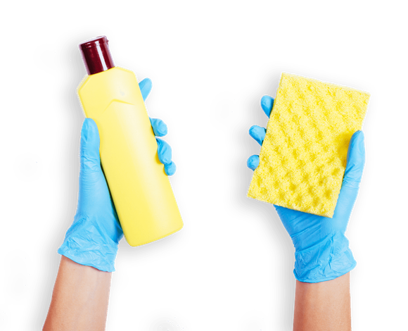 A person wearing blue gloves is holding a yellow bottle and a yellow sponge.