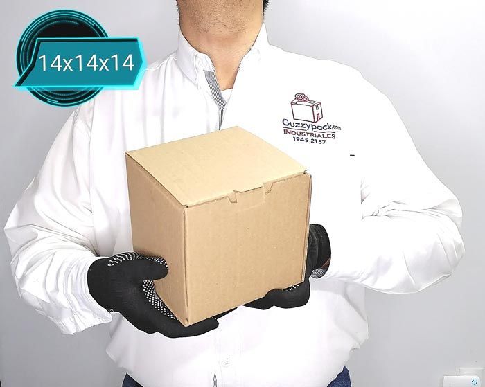 Un hombre sostiene una caja de cartón de 14x14x14