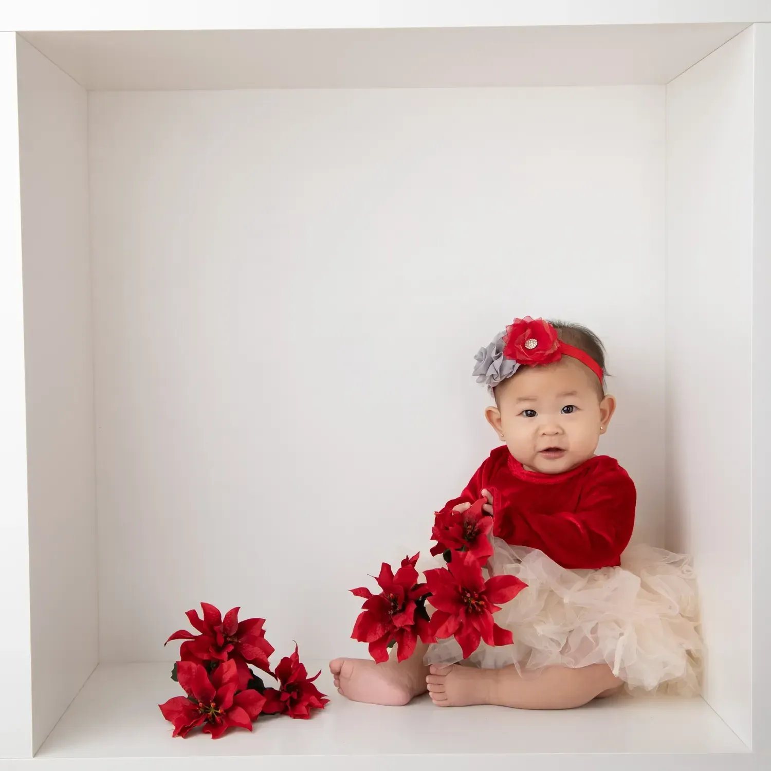 Baby Girl 6 months photo shoot Los Angeles