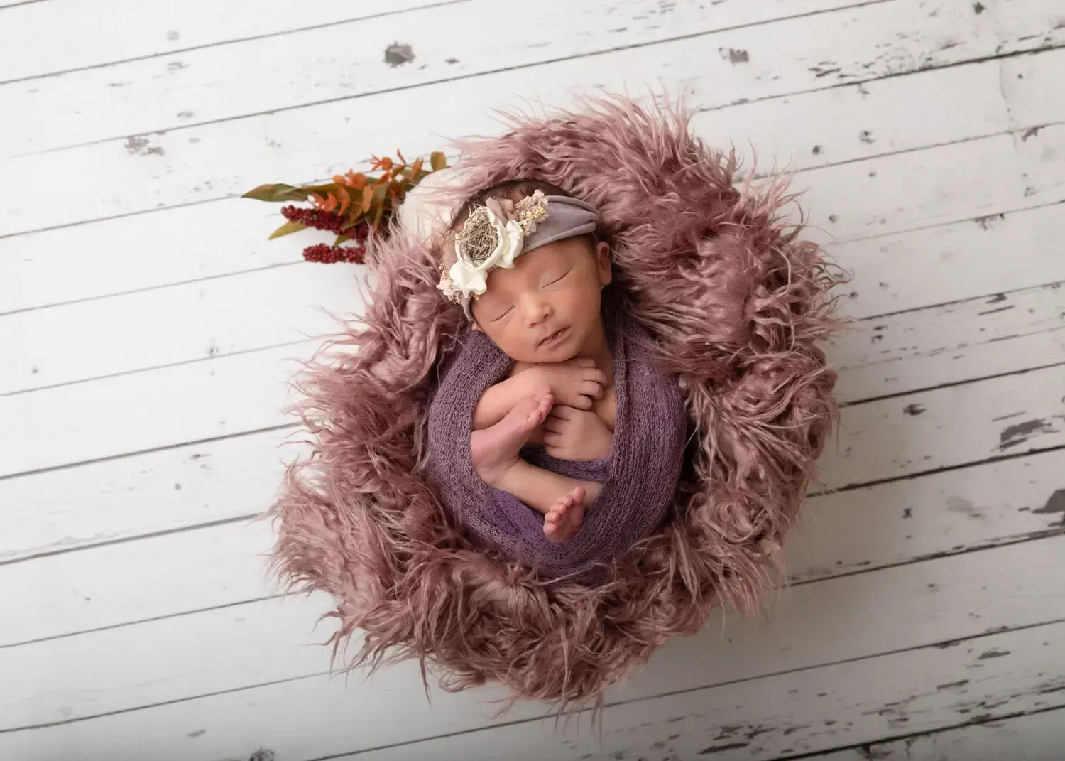 Glendale Newborn photo of a  girl in white dough bowl wrapped in purple