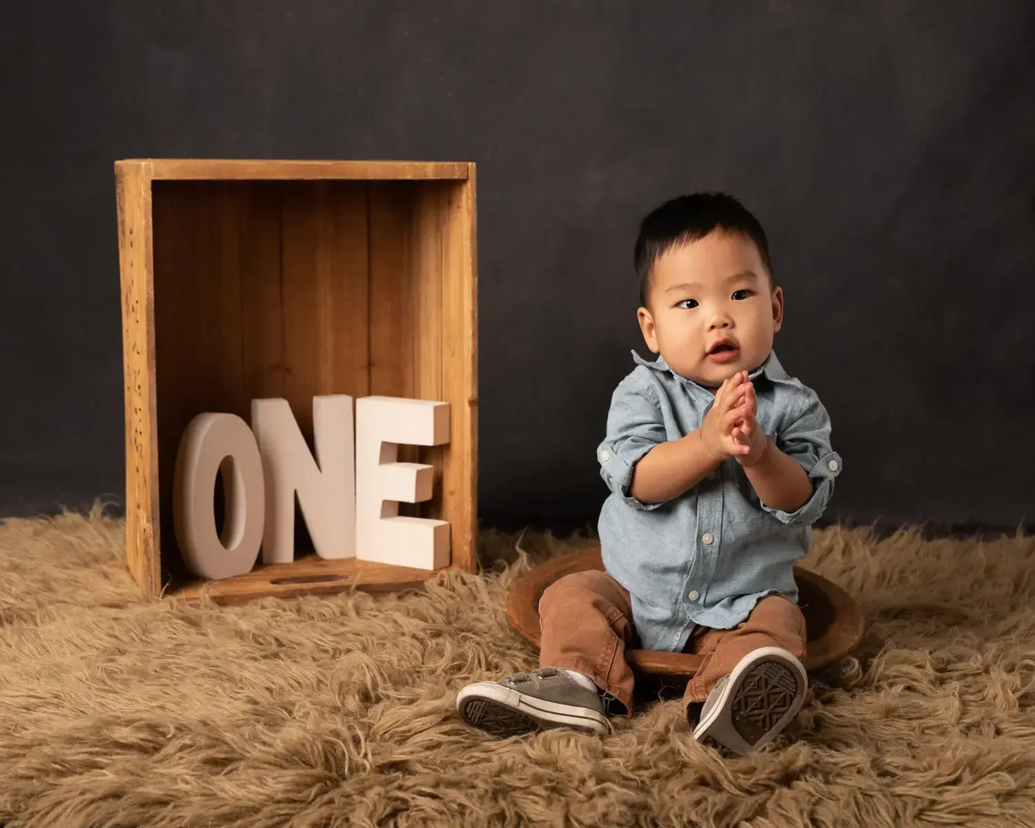 Baby boy First birthday Photo shoot