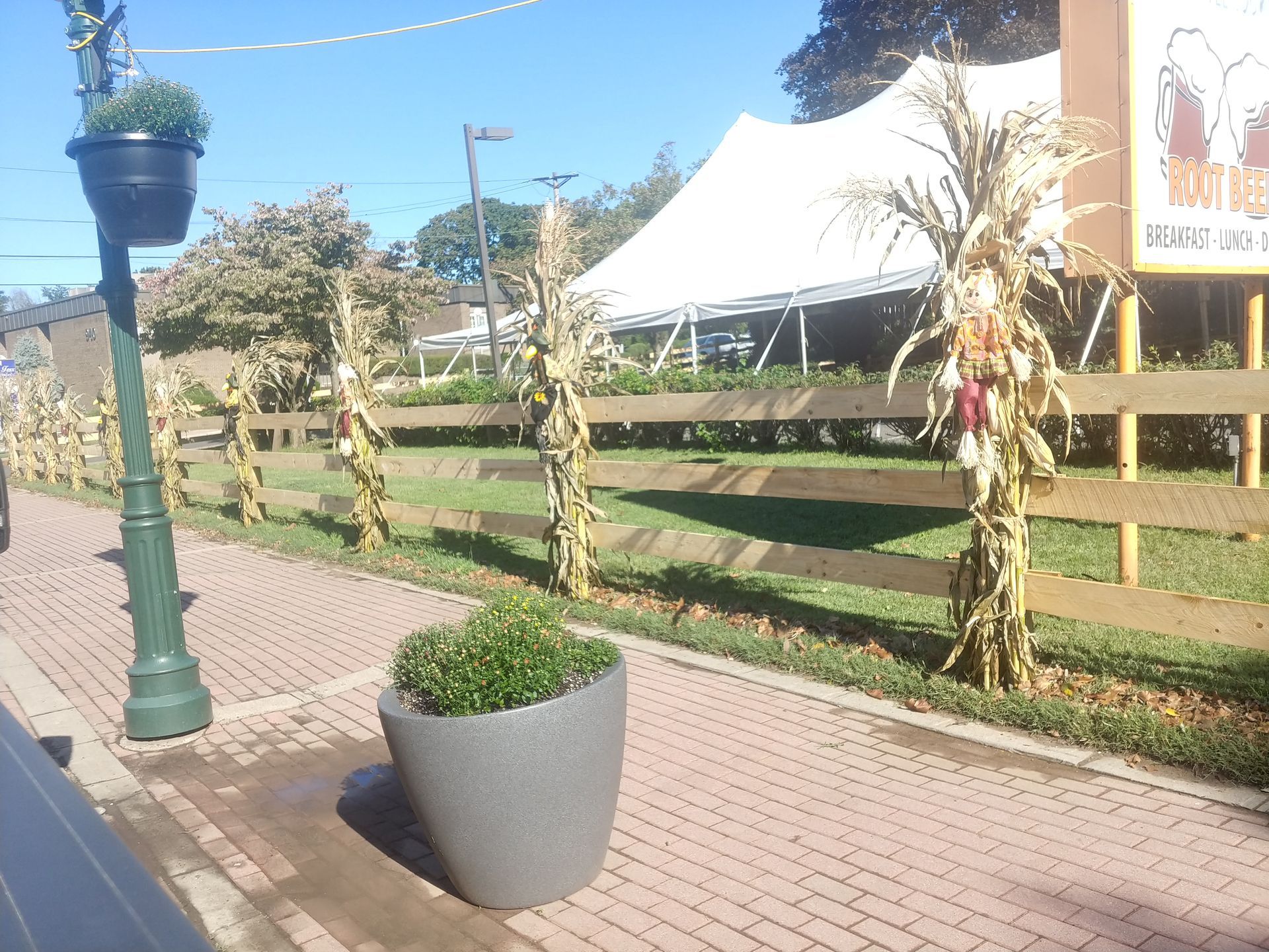 A fence with corn stalks along the side of it