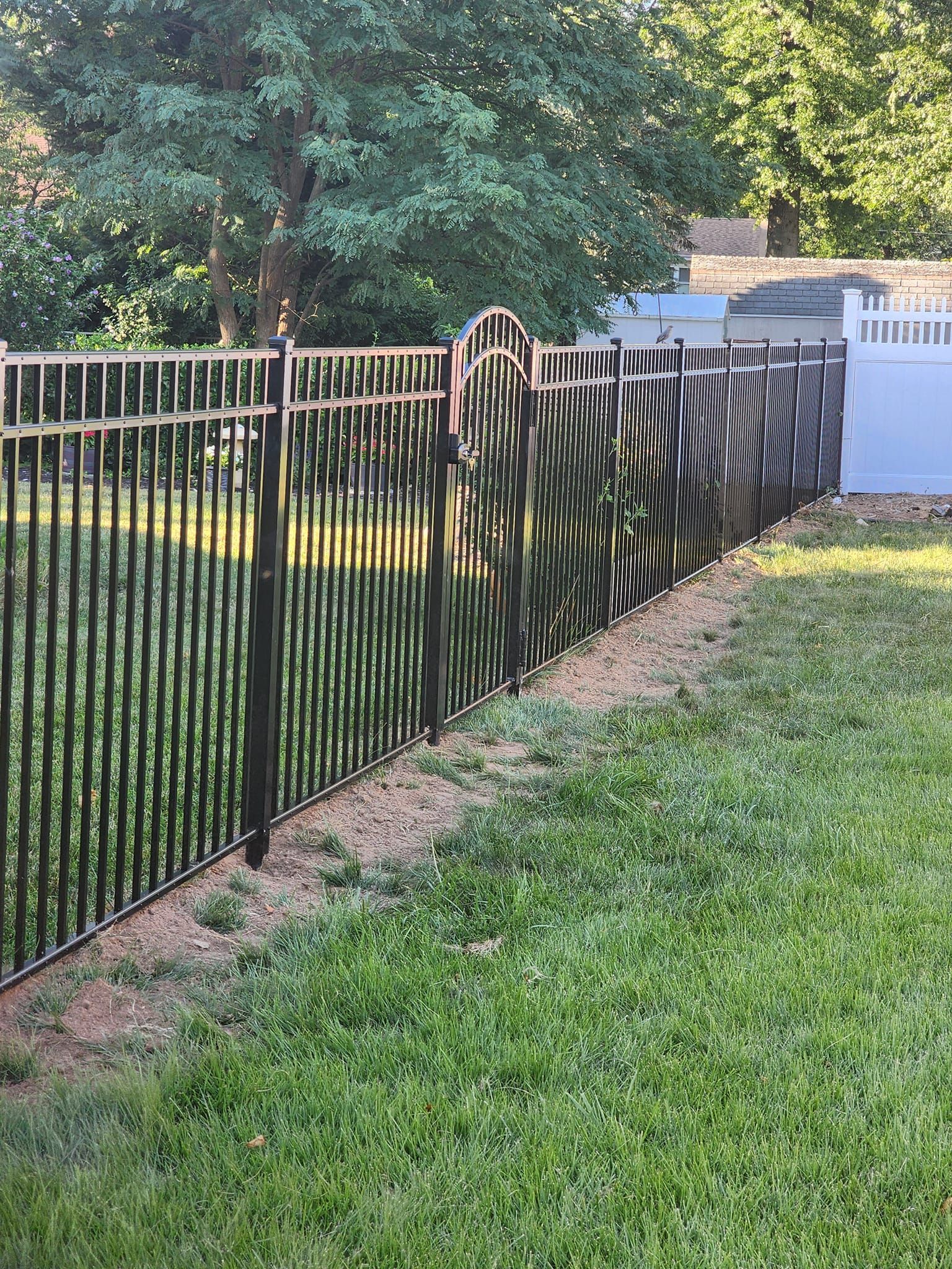 A black metal fence surrounds a lush green yard.