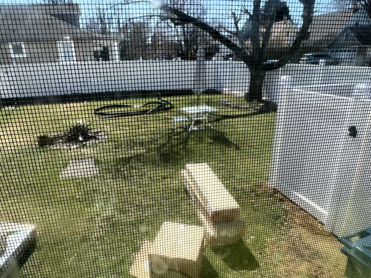 A fenced in yard with a few blocks in it.