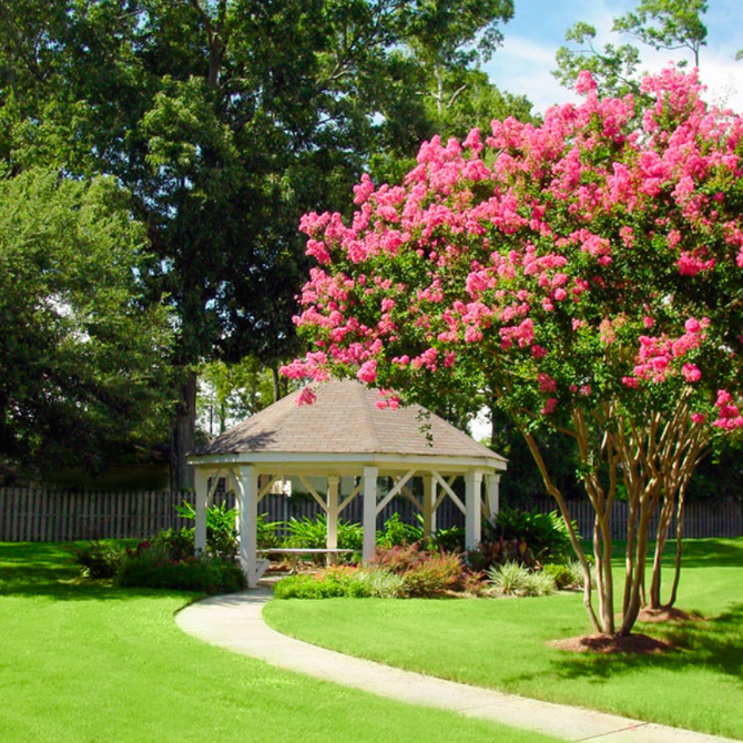 Photo of a person texting