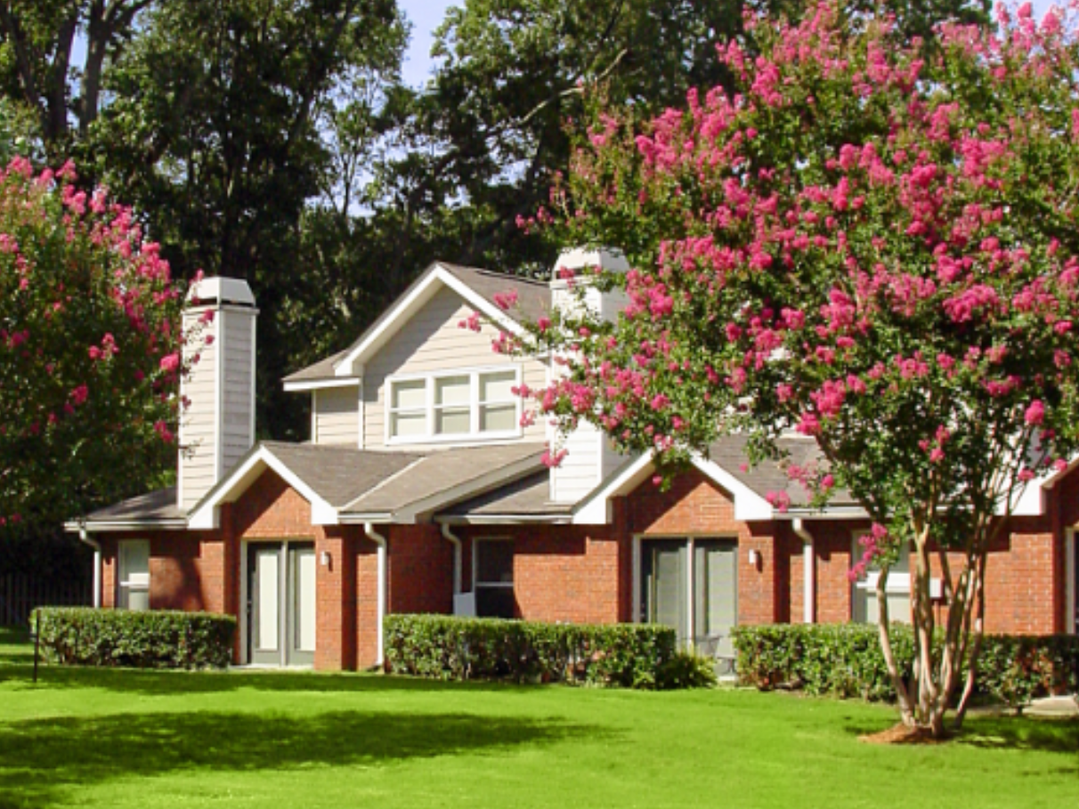 Photo of dinner plates at the restaurant