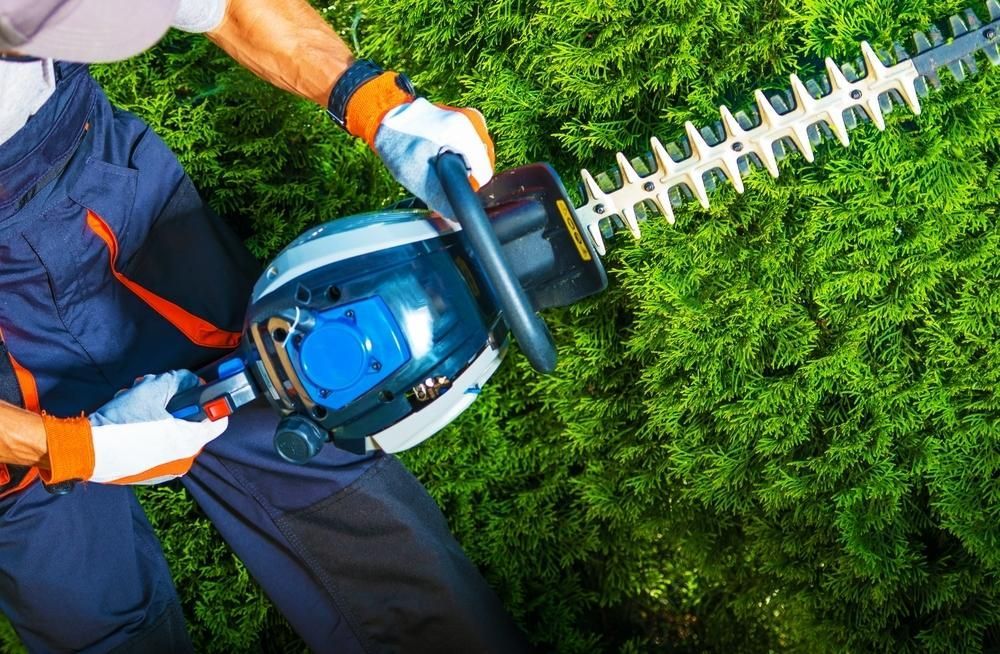 A Man is Cutting a Hedge With a Hedge Trimmer — Urunga Chainsaw and Mower in Urunga, NSW