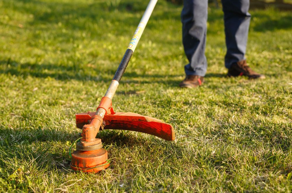 A Person is Using a Lawn Mower to Cut the Grass — Urunga Chainsaw and Mower in Urunga, NSW
