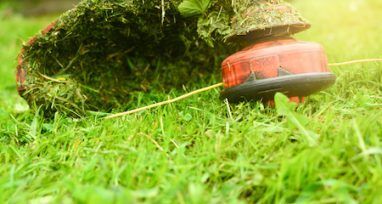 A Close Up of a Lawn Mower in the Grass — Urunga Chainsaw and Mower in Urunga, NSW