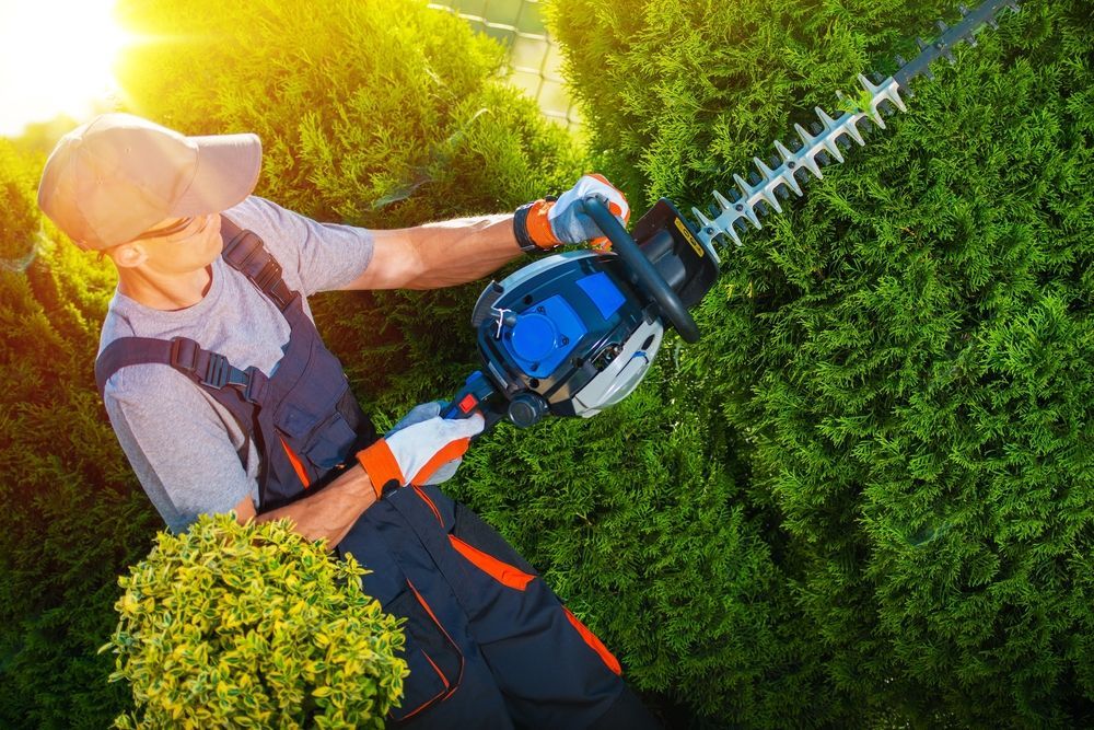 A Man is Cutting a Hedge With a Hedge Trimmer — Urunga Chainsaw and Mower in Urunga, NSW