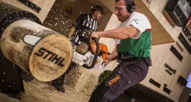 Stihl Professional Chainsaws — Urunga Chainsaw and Mower in Urunga, NSW