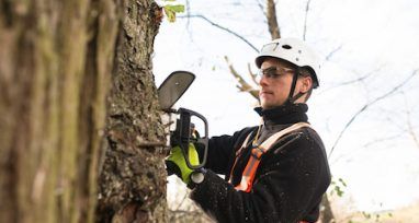 Stihl Landowner Chainsaws — Urunga Chainsaw and Mower in Urunga, NSW