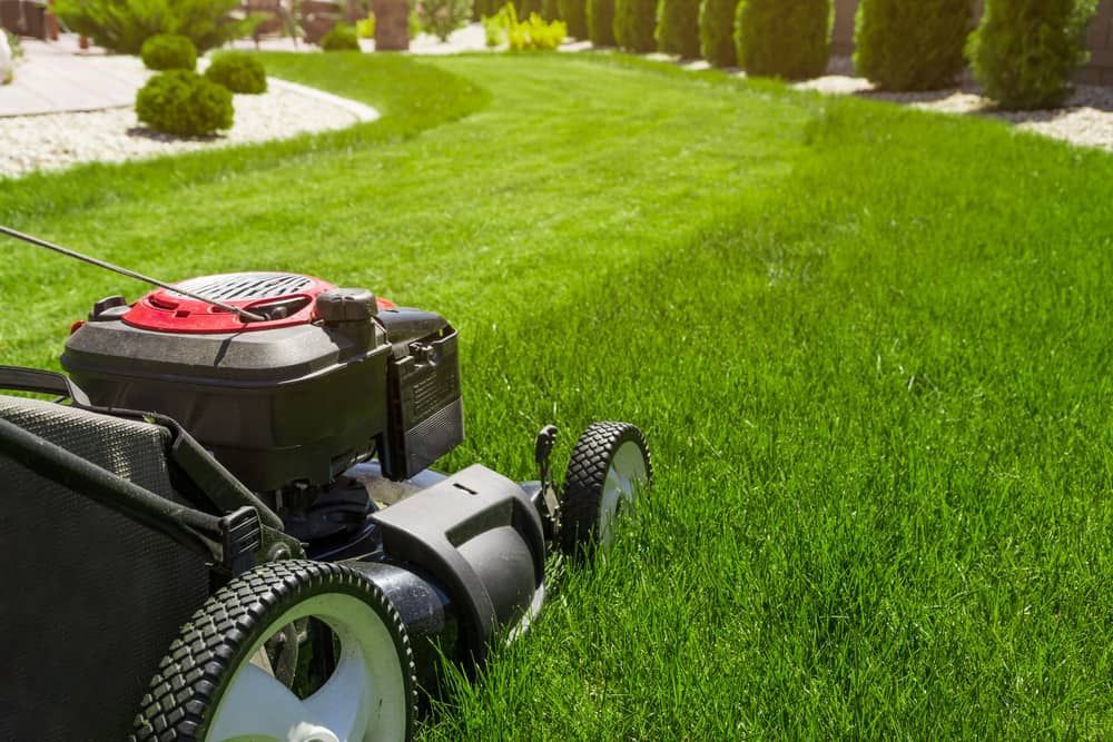 A Lawn Mower is Cutting a Lush Green Lawn — Urunga Chainsaw and Mower in Urunga, NSW