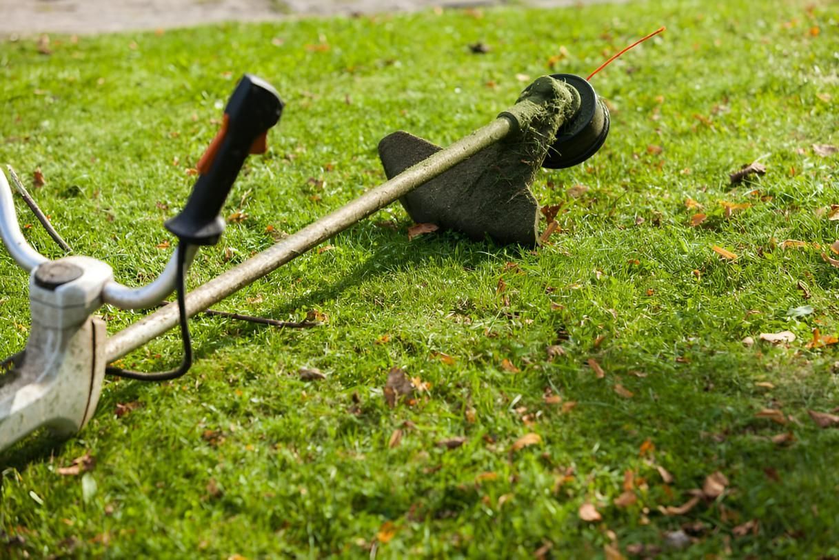 A Lawn Mower is Sitting on Top of a Lush Green Lawn — Urunga Chainsaw and Mower in Urunga, NSW