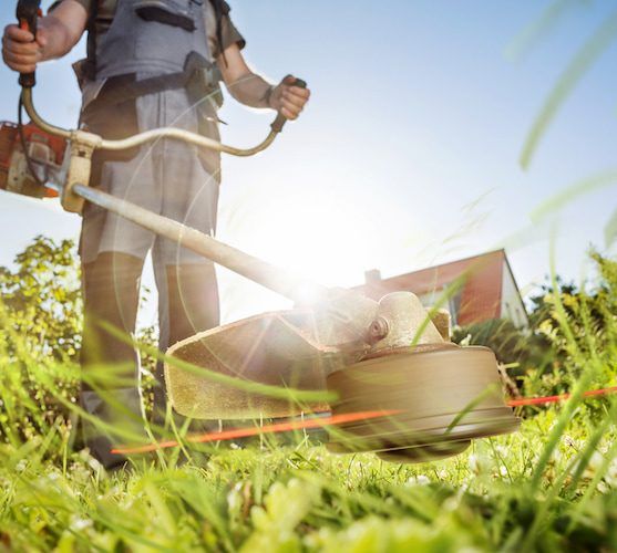 A Man is Cutting Grass With a Lawn Mower — Urunga Chainsaw and Mower in Urunga, NSW
