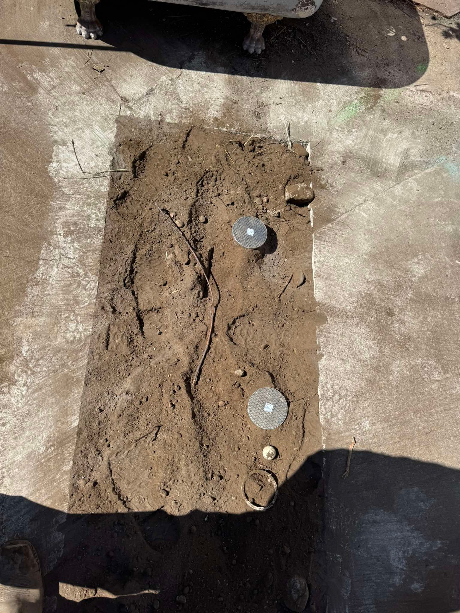 A rectangular patch of dug-up soil in a concrete walkway, revealing two circular utility access covers.