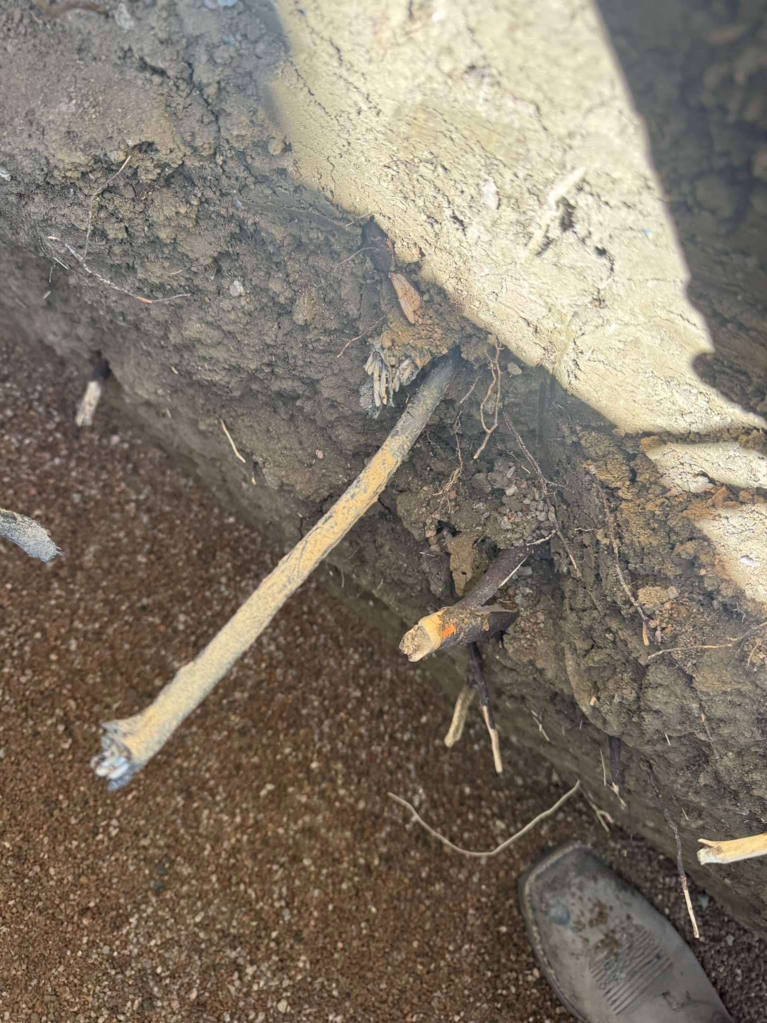 Two metallic rods protrude horizontally from a concrete foundation wall above soil.