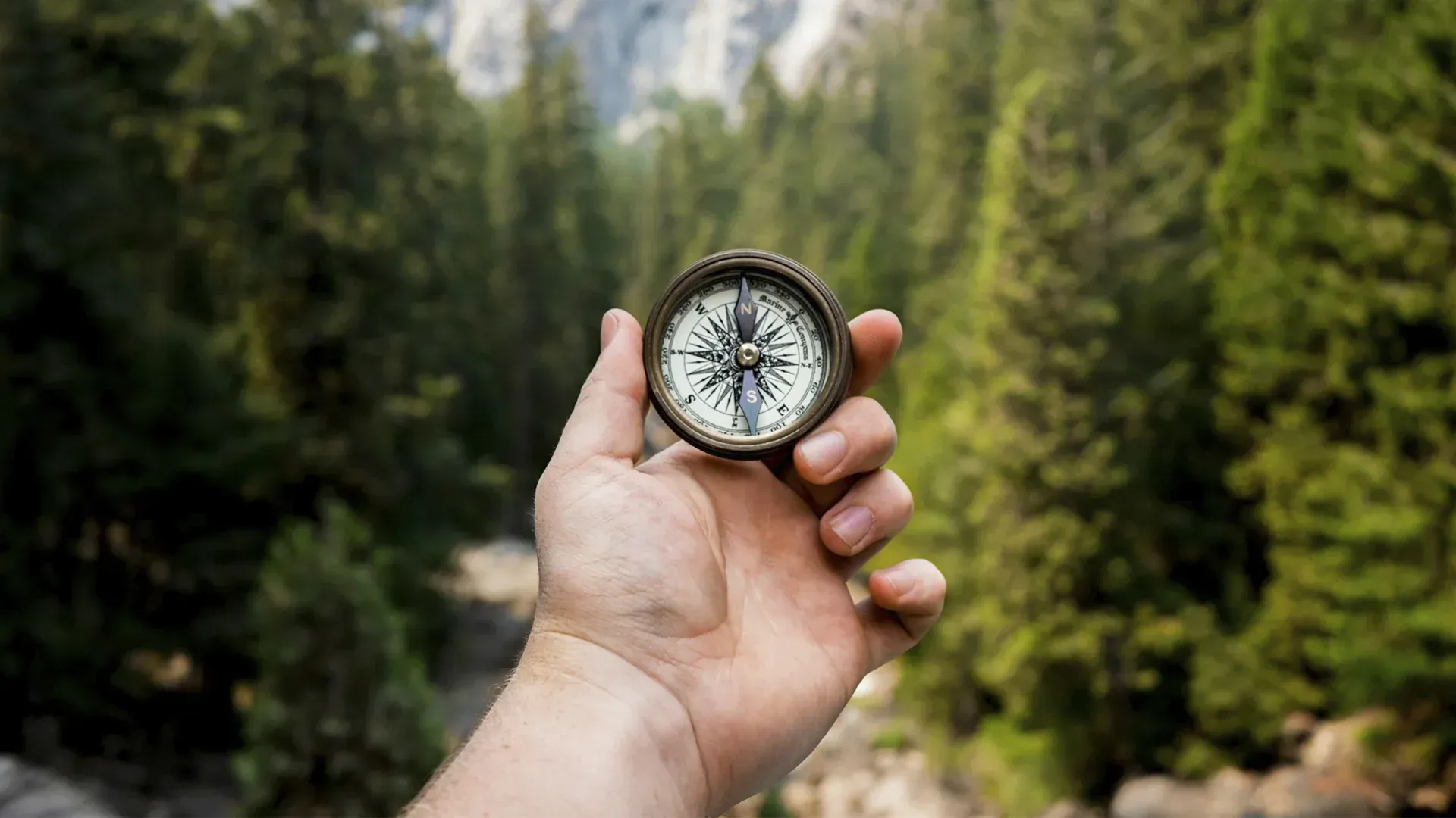 Hand holding a compass in a forest, blurred background of trees and mountains.