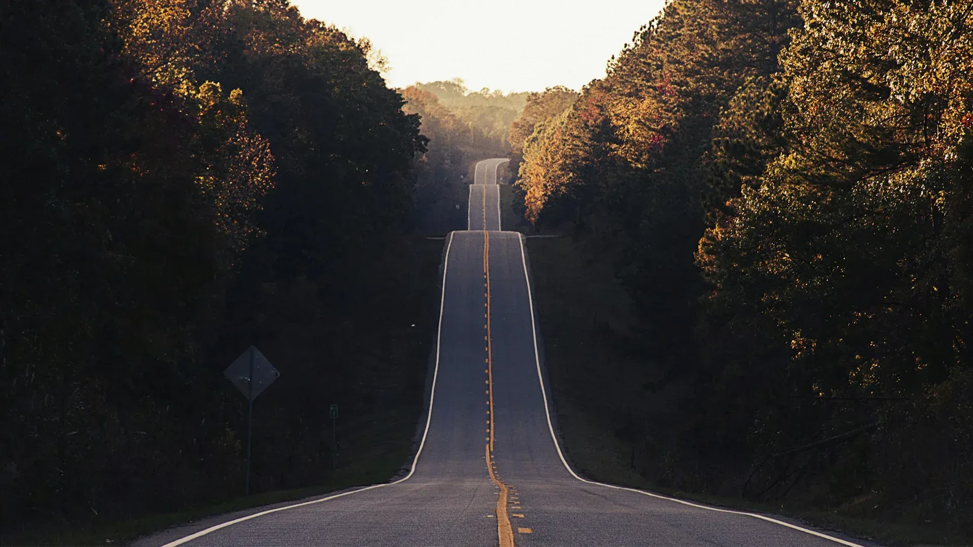 Road stretching uphill, flanked by trees, leading towards sunlight.