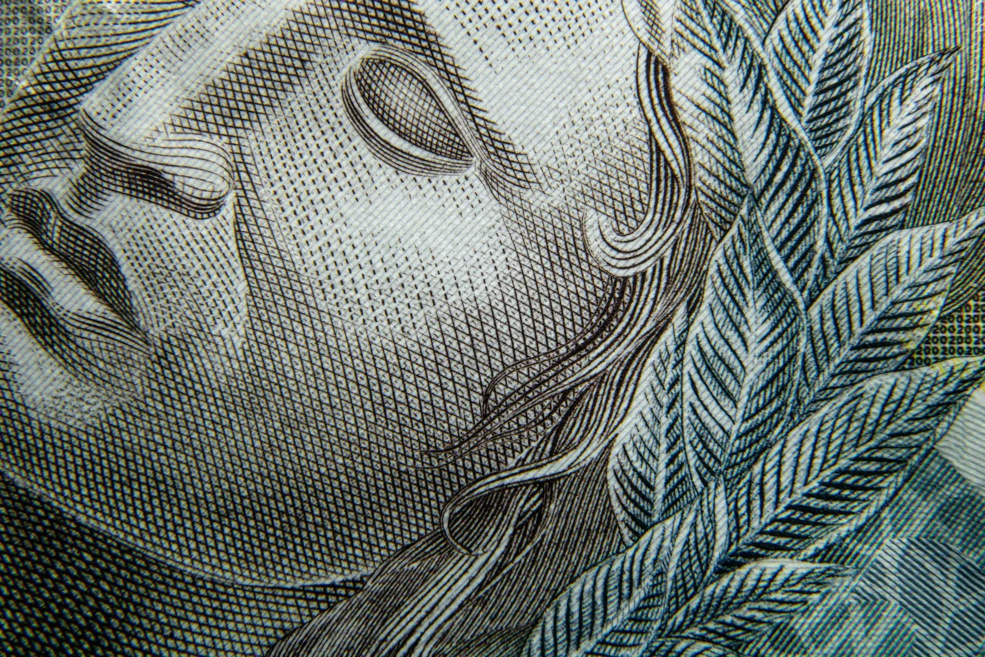 A close up of a brazilian money bill with a woman 's face on it