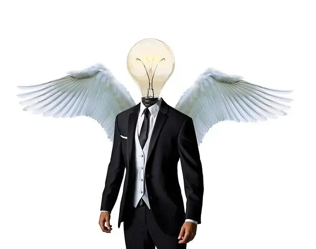 business angel, mentor, businessman