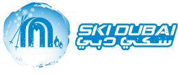 Ski dubai with Tour Visionary