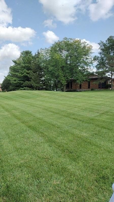 A lush green lawn with trees in the background and a house in the background.