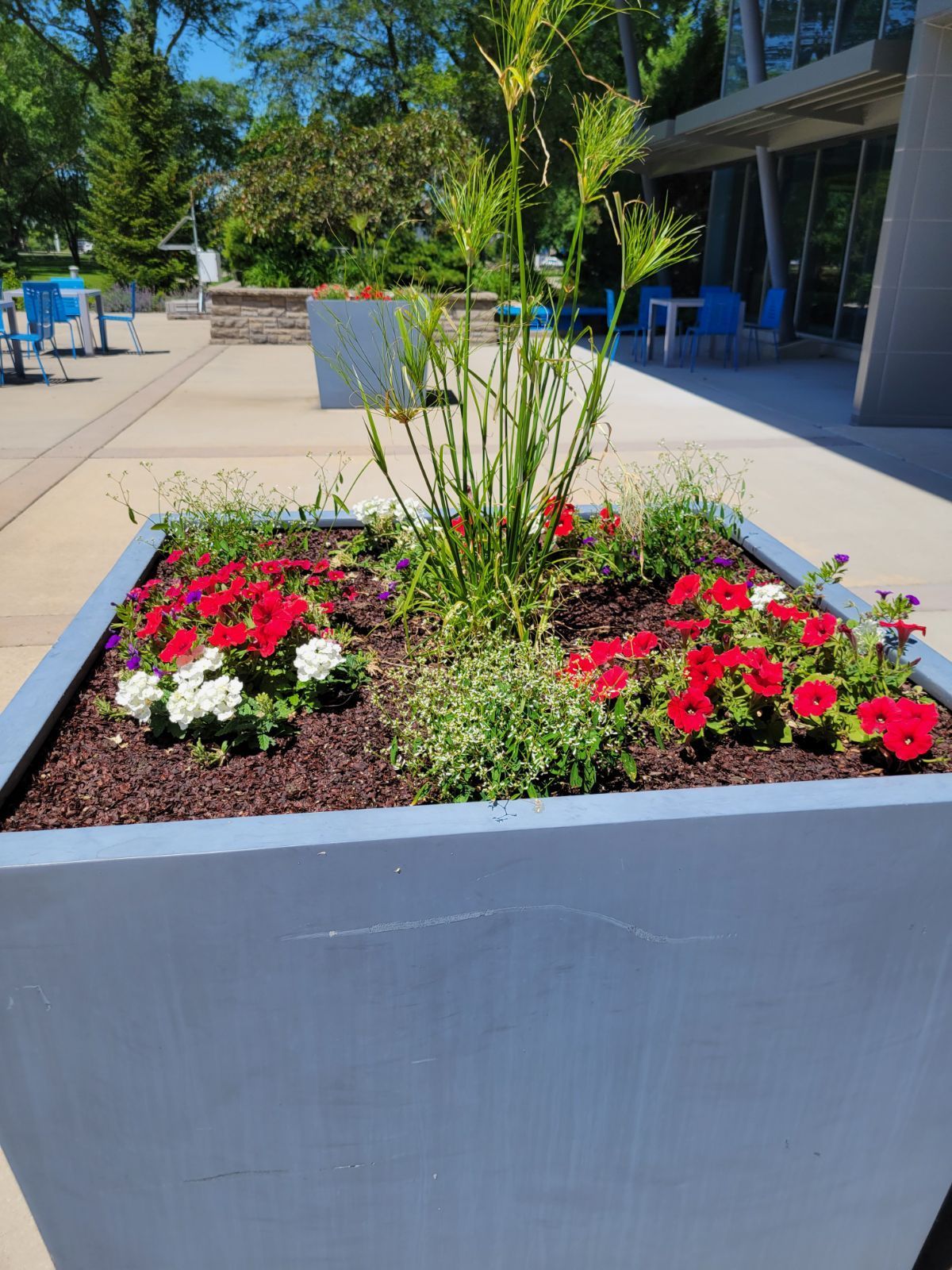 A large planter filled with red , white and blue flowers.