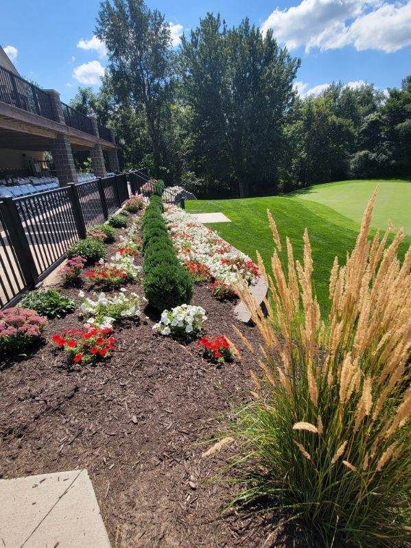 A lush green field with a lot of flowers and grass.