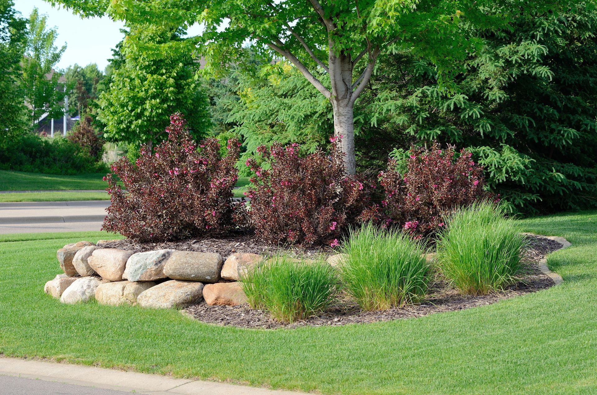 Stone-edged flower bed with burgundy shrubs and green grass, trees in the background, along a curb.