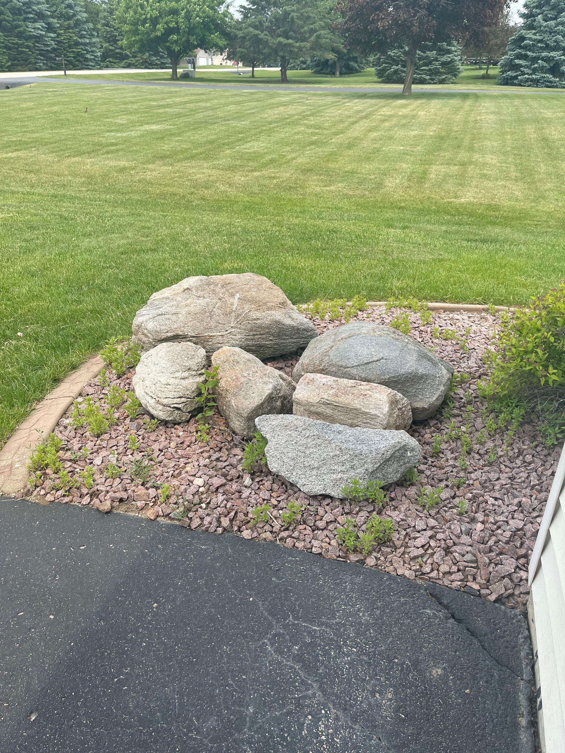 landscaping bed full of weeds in Janesville, Wisconsin