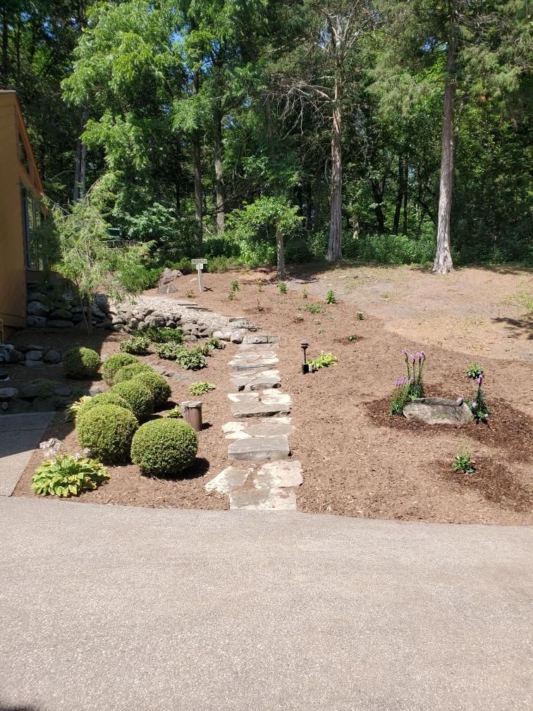 Fresh mulch landscape bed with stone walkway, trimmed shrubs, and new plantings beside a wooded yard