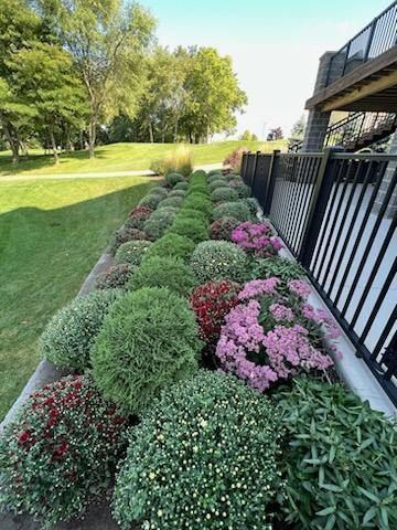 A row of bushes and flowers along a sidewalk in a park.