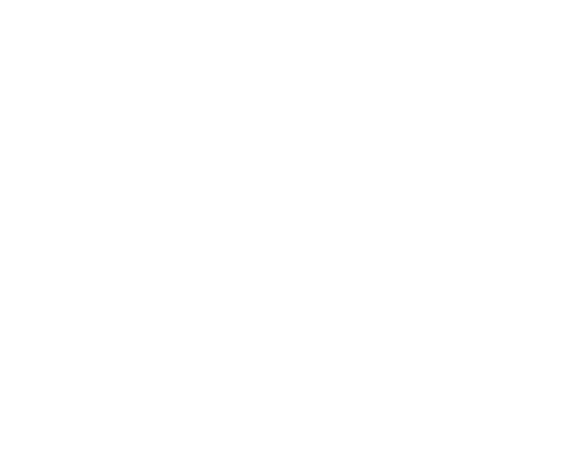 Fondo blanco vacío.