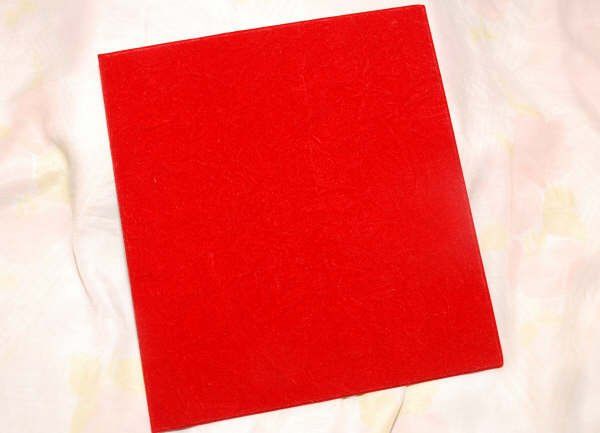 Fotografamos e filmamos Casamentos - Studio Carmen Sanches