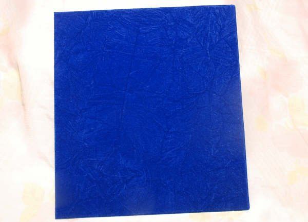 Fotografamos e filmamos Casamentos - Studio Carmen Sanches