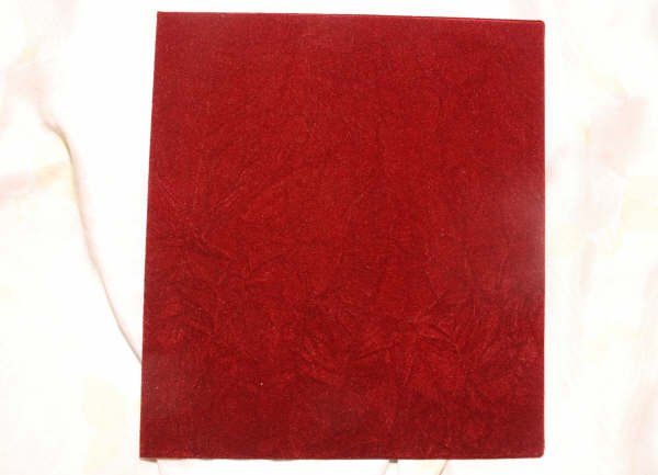 Fotografamos e filmamos Casamentos - Studio Carmen Sanches