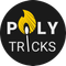POLYTRICKS  PRODUCTIONS