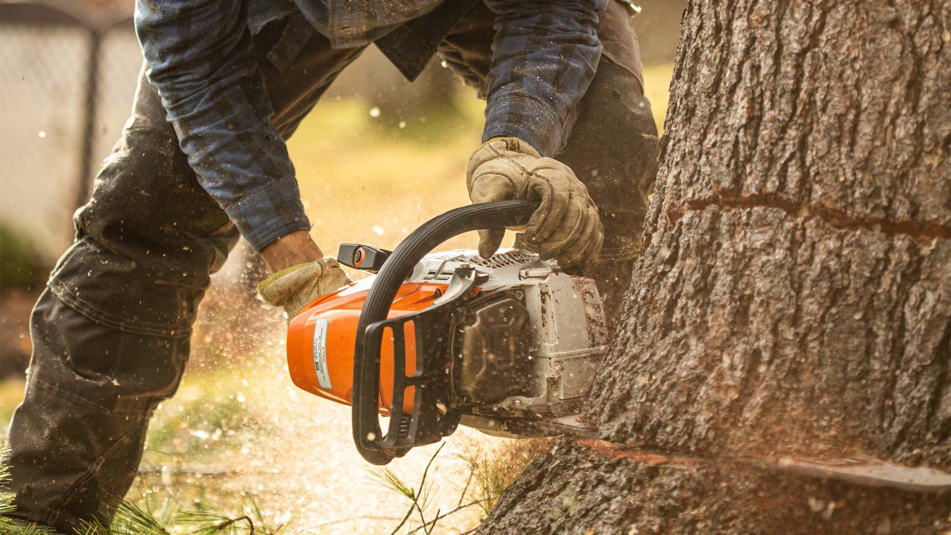Un homme coupe un arbre avec une tronçonneuse.