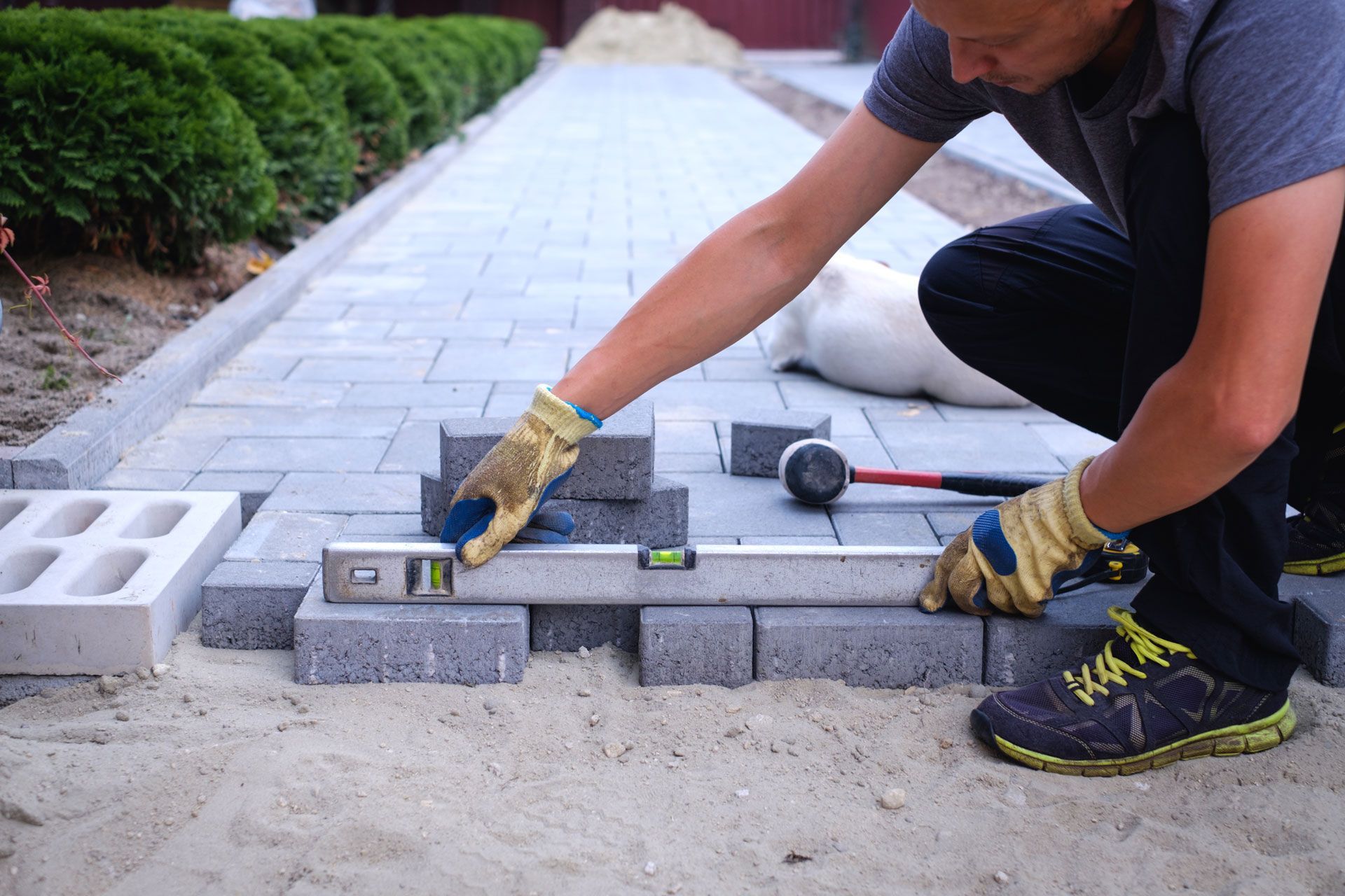 Man using a level to lay paving stones on a sandy base outdoors.